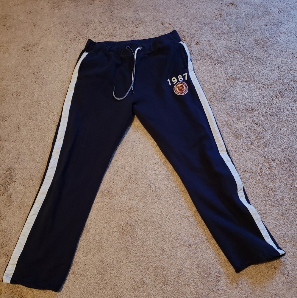 Aeropostale Sweatpants (sz L, but length for M)